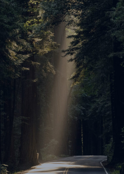 Picture <p>Welcome to</p>
<p><strong>Orrostu</strong></p>
